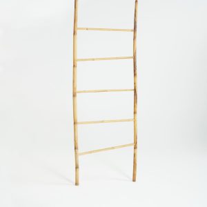 LADDER 2