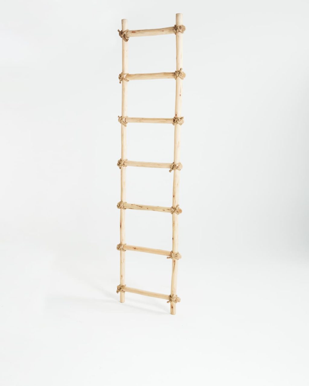 LADDER 1