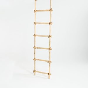 LADDER 1