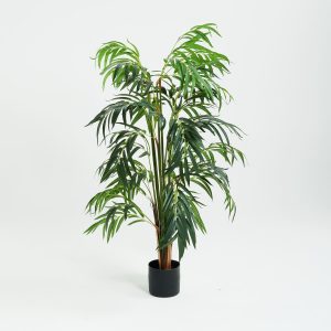 PLANTS 4