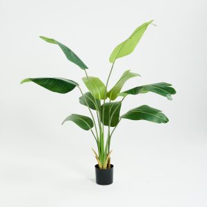 PLANTS 2