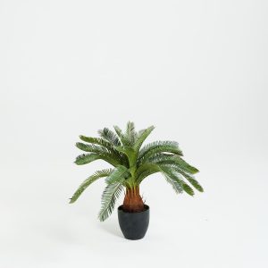 PLANTS 7