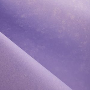 Lilac Lover