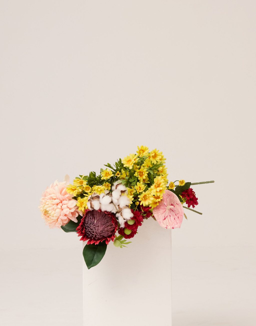 PLANTS 18