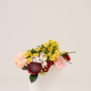 PLANTS 18