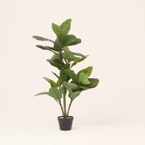 PLANTS 8