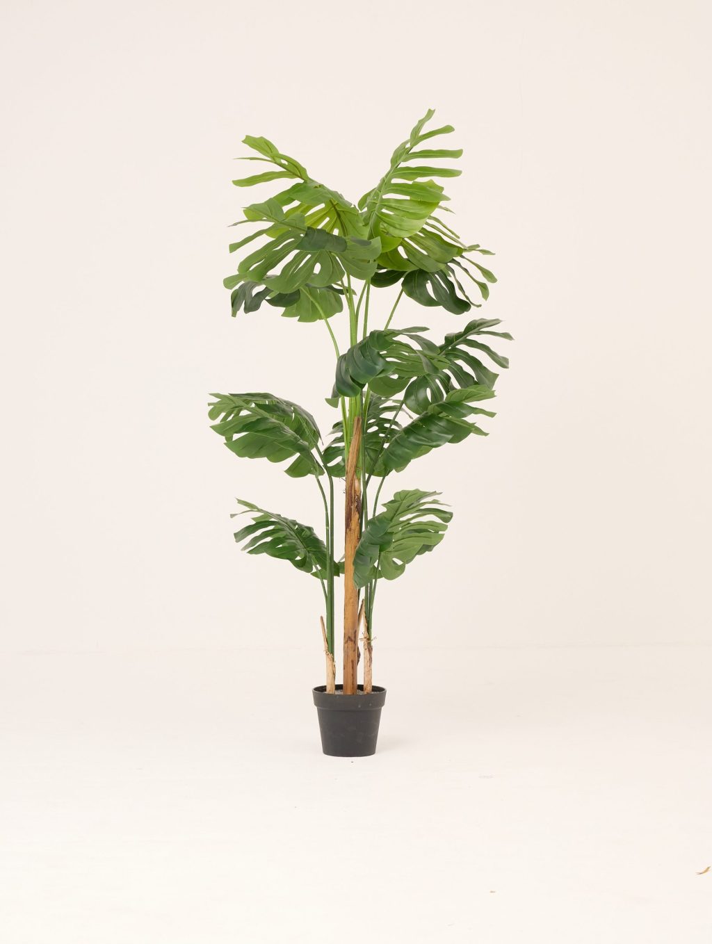 PLANTS 9