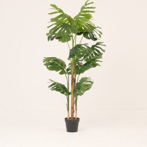PLANTS 9