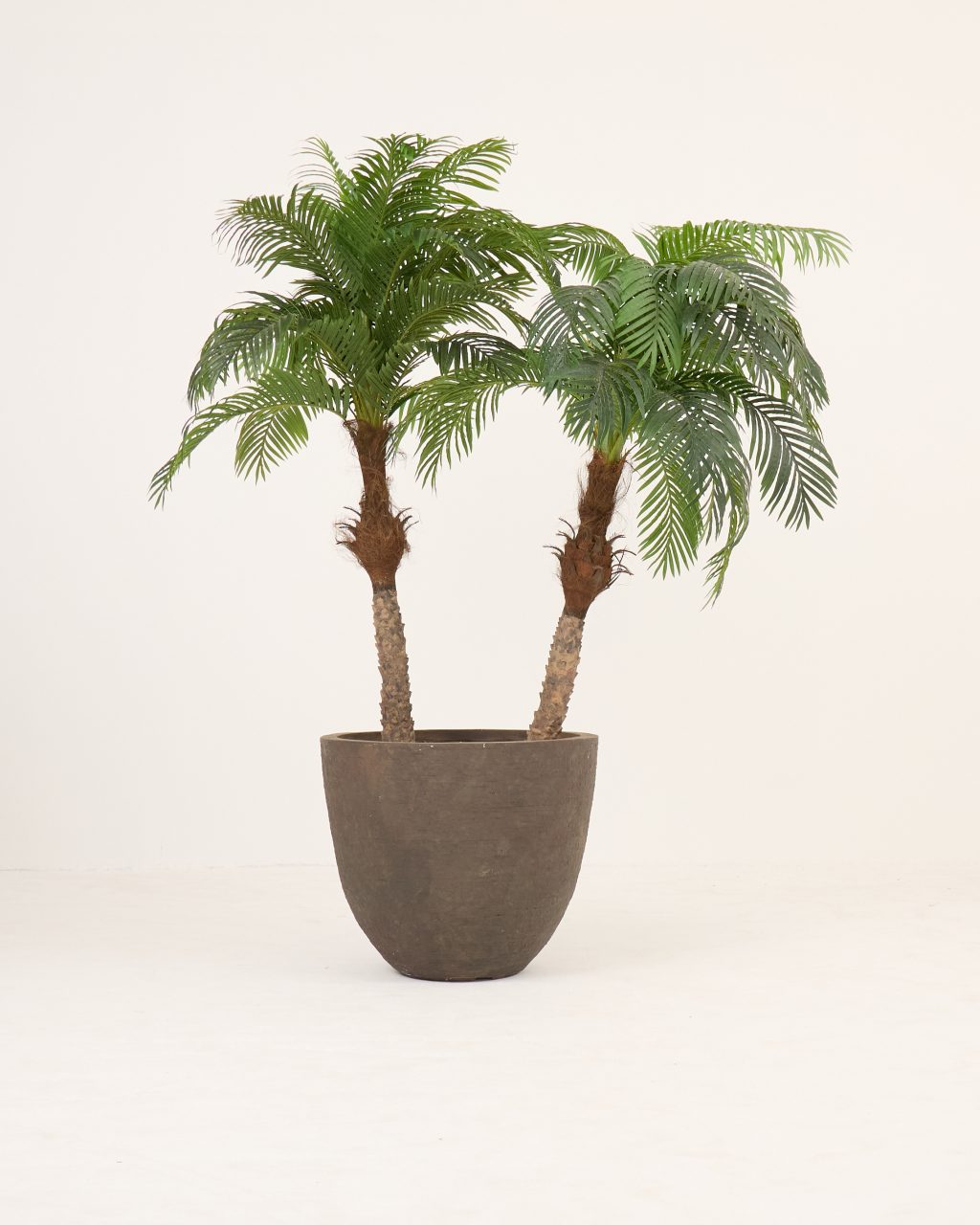 PLANTS 11