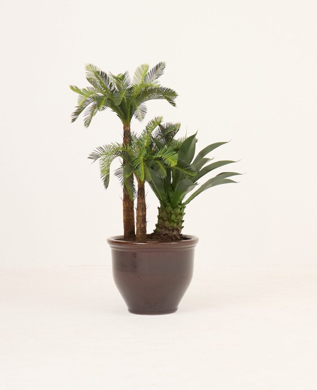 PLANTS 12