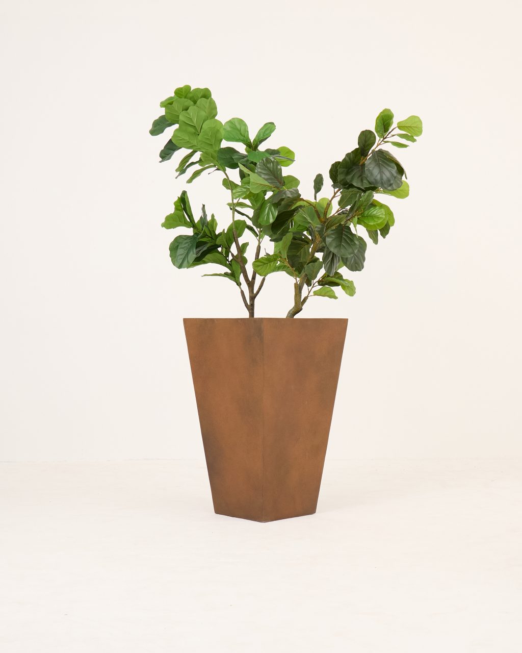 PLANTS 14