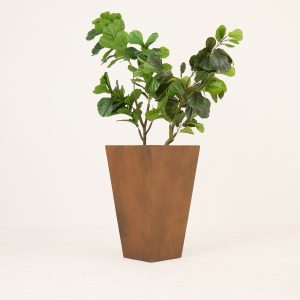 PLANTS 14
